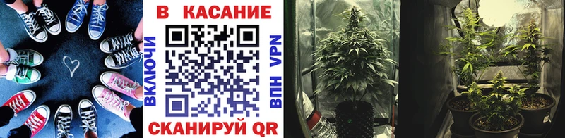 Где купить Куса COCAIN  Амфетамин  Меф  OMG рабочий сайт  Гашиш  Канабис  СОЛЬ 