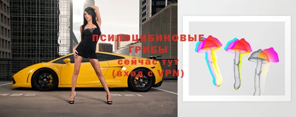 apvp Пересвет
