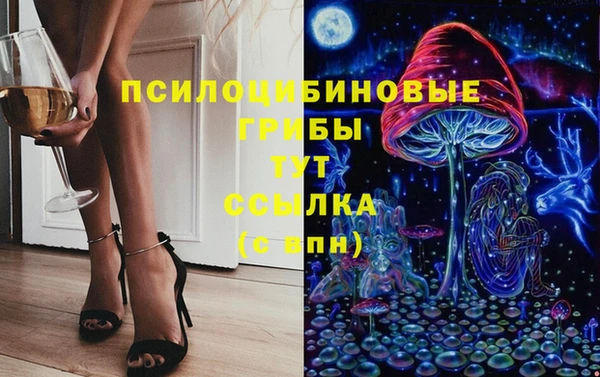 гидра Алзамай