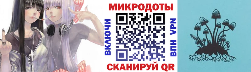 Псилоцибиновые грибы GOLDEN TEACHER  Куса 