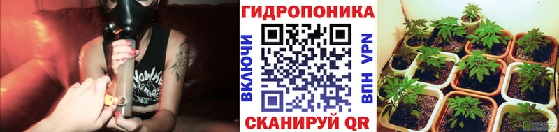купить наркоту  Куса  Бошки марихуана MAZAR 